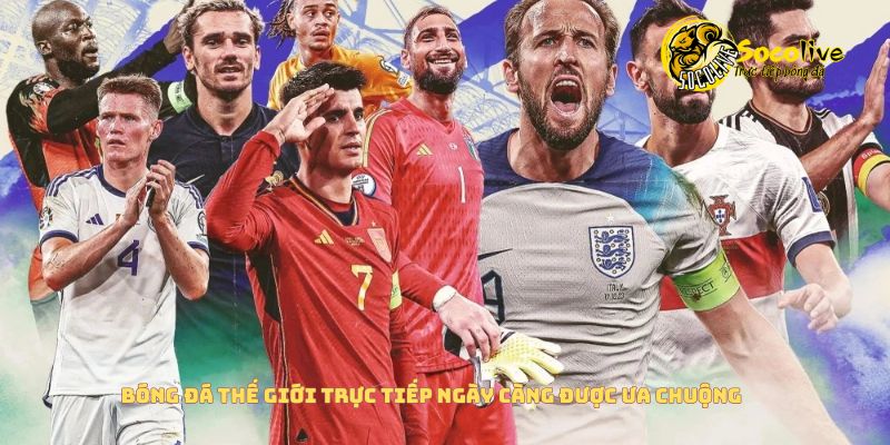 Vì sao fan Việt ngày càng chuộng xem bóng đá thế giới trực tiếp qua nền tảng số? 4 bóng đá thế giới trực tiếp ngày càng được ưa chuộng