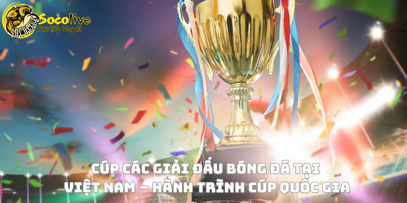 Cúp các giải đấu bóng đá tại Việt Nam – Hành trình Cúp Quốc gia 3 Cúp các giải đấu bóng đá tại Việt Nam