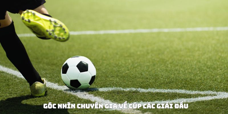 Cúp các giải đấu bóng đá tại Việt Nam – Hành trình Cúp Quốc gia 5 Góc nhìn chuyên gia về cúp các giải đấu