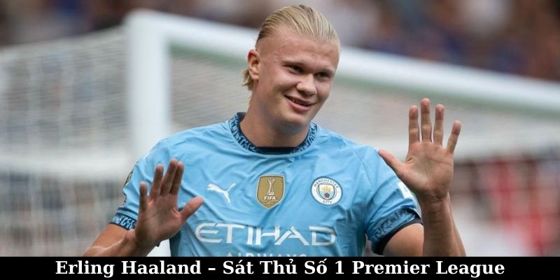 Erling Haaland – Sát Thủ Số 1 Premier League 4 Erling Haaland – Sát Thủ Số 1 Premier League