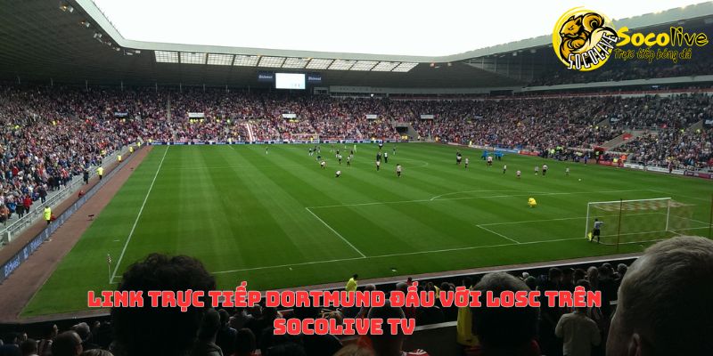 Link trực tiếp Dortmund đấu với LOSC & kịch bản hấp dẫn trước trận 4 Link trực tiếp Dortmund đấu với LOSC trên Socolive TV